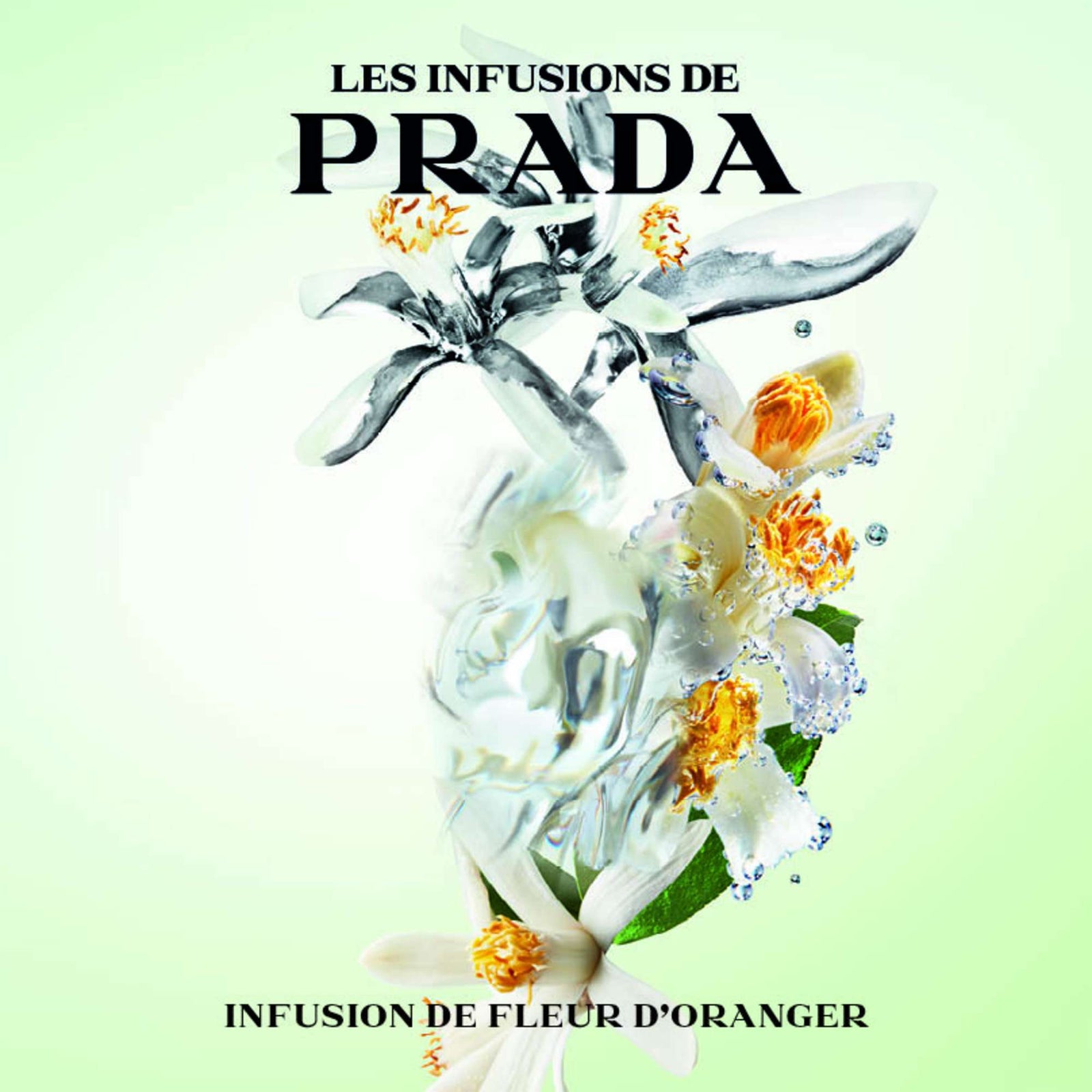 Prada Infusion de Fleur d'Oranger Eau de Parfum Spray 100 ml