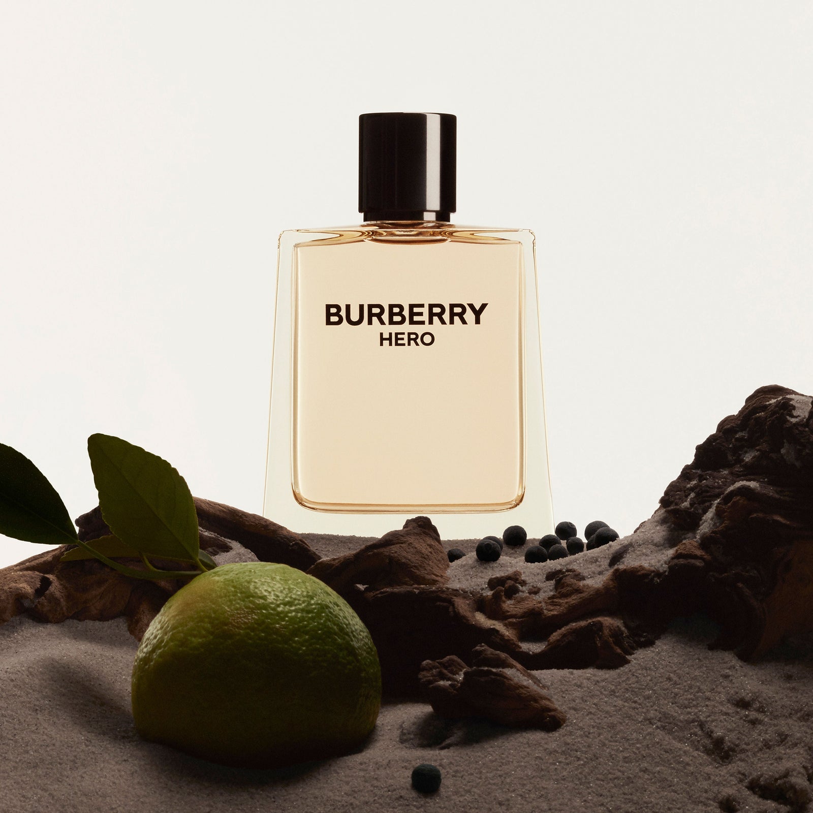 Burberry Hero for Men EDT 100 ml