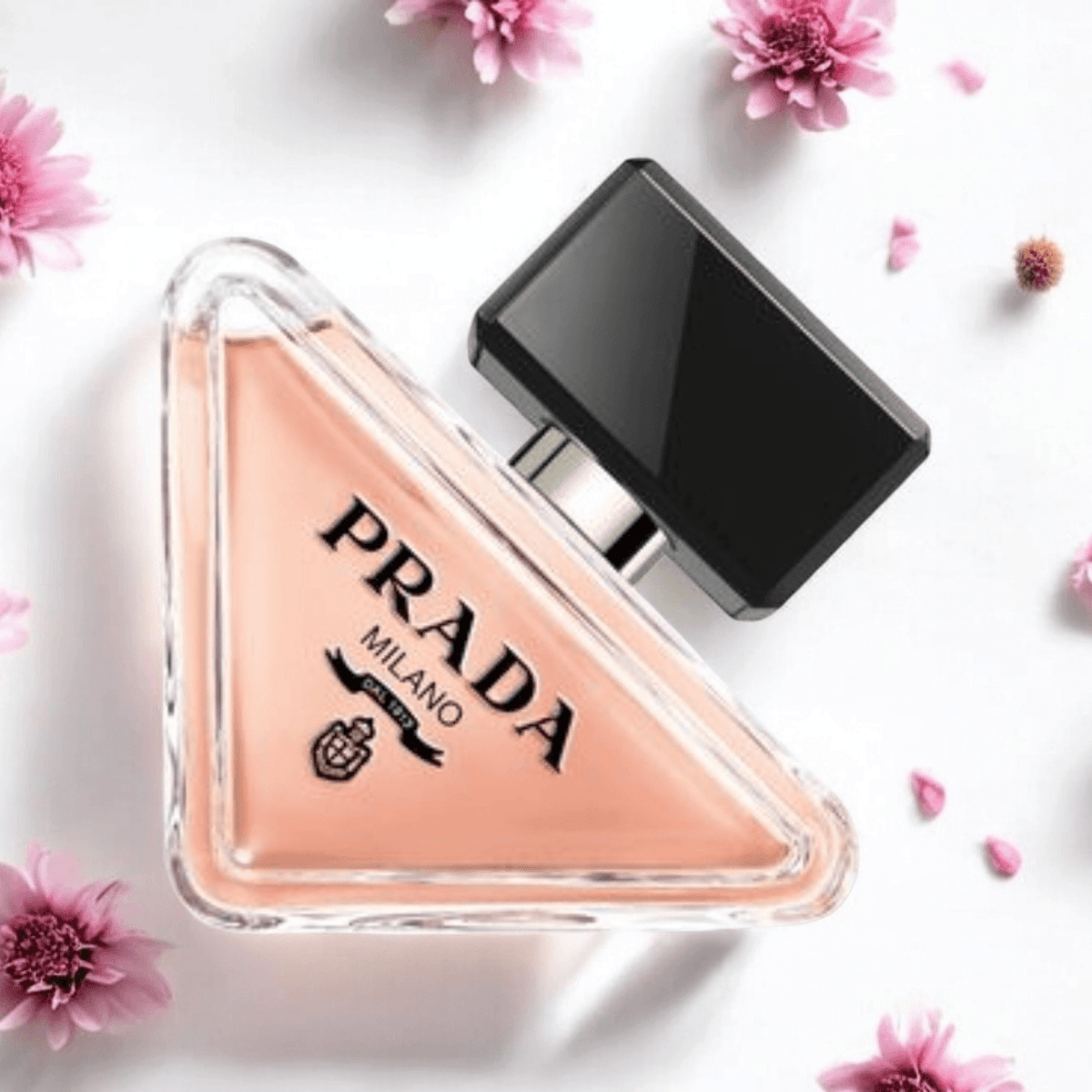 Prada Paradoxe | Fragrance Samples UK