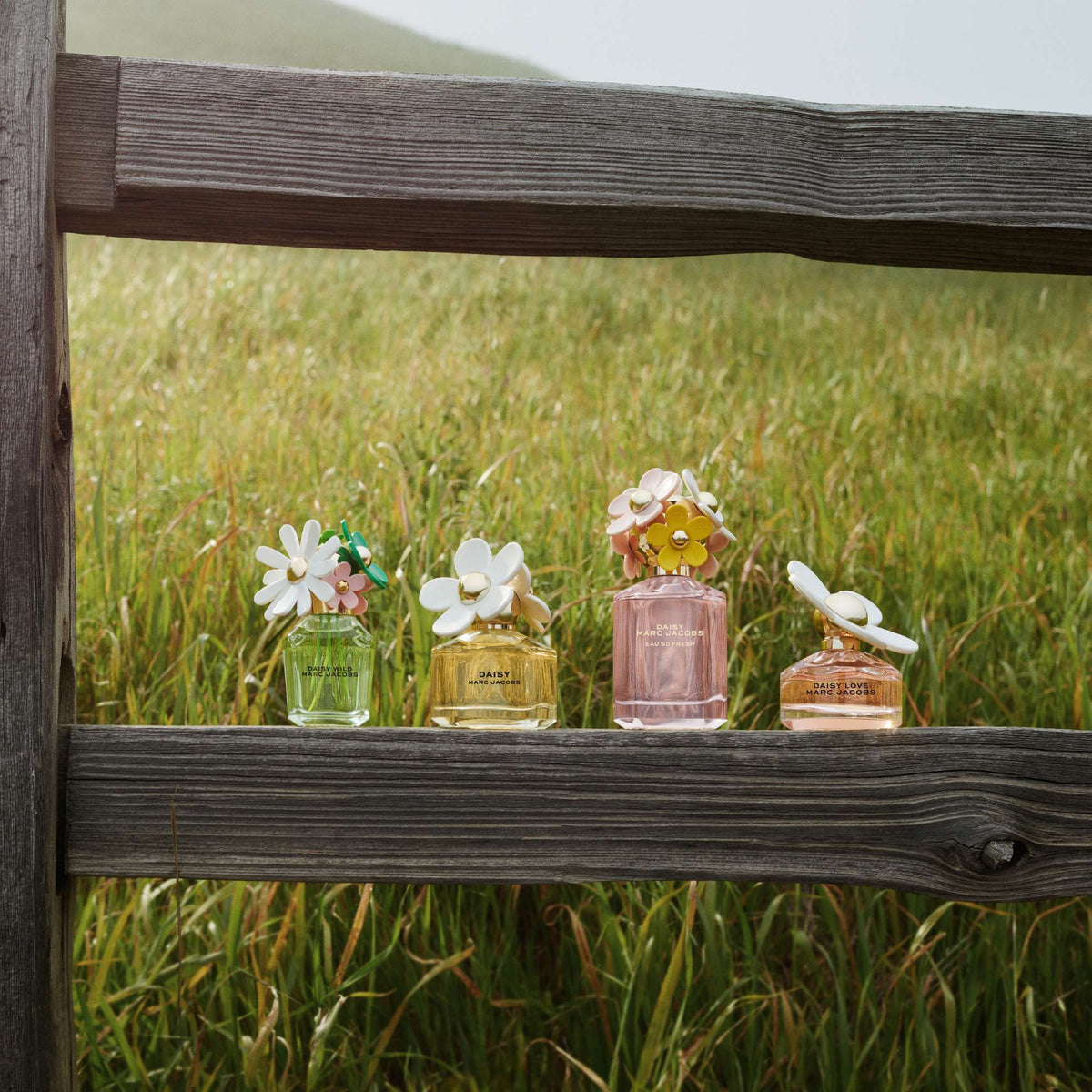 Marc Jacobs Daisy Eau de Toilette 50 ml