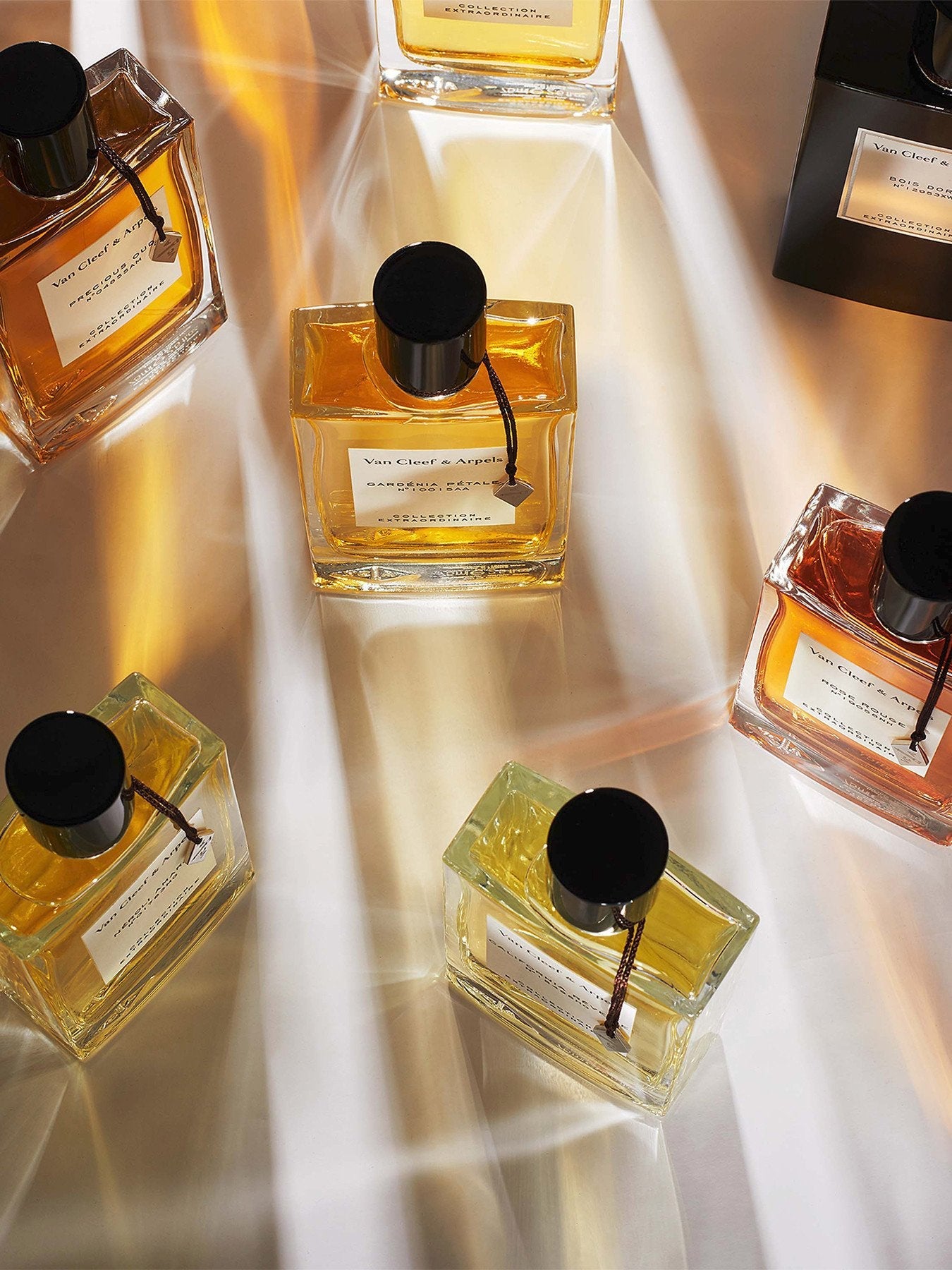 Van Cleef & Arpels Collection Extraordinaire California Rêverie Eau de Parfum 75 ml