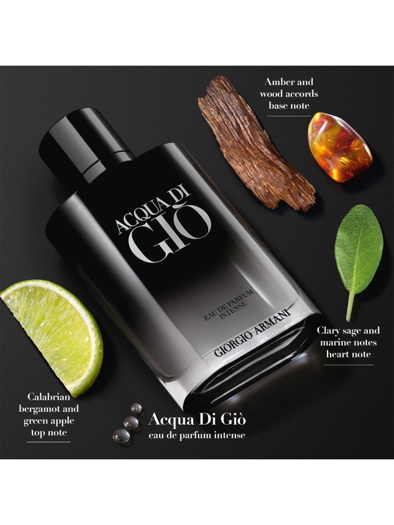 Giorgio Armani Acqua di Giò Eau de Parfum Intense 100 ml