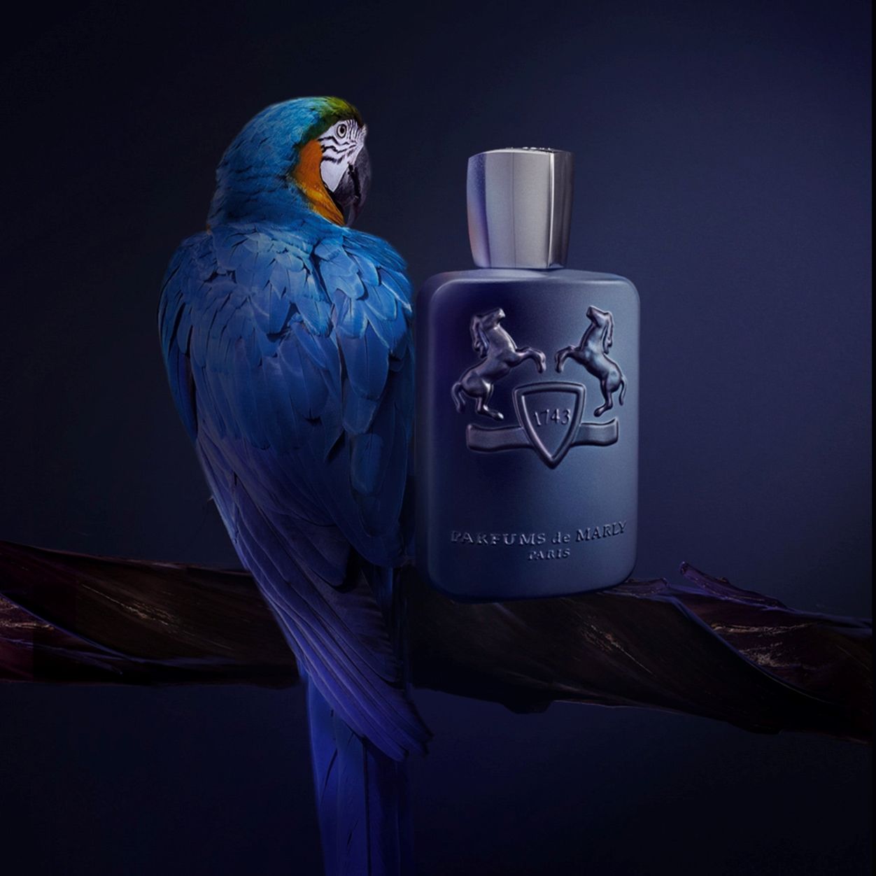Parfums de Marly Layton Eau de Parfum
