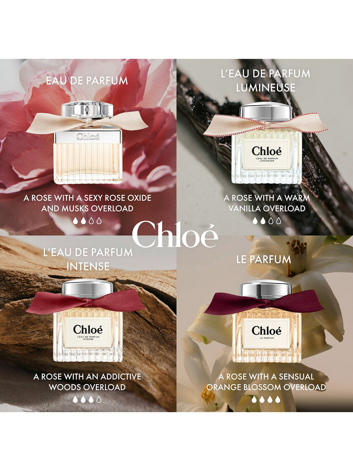 Chloé L’Eau de Parfum Intense 50 ml