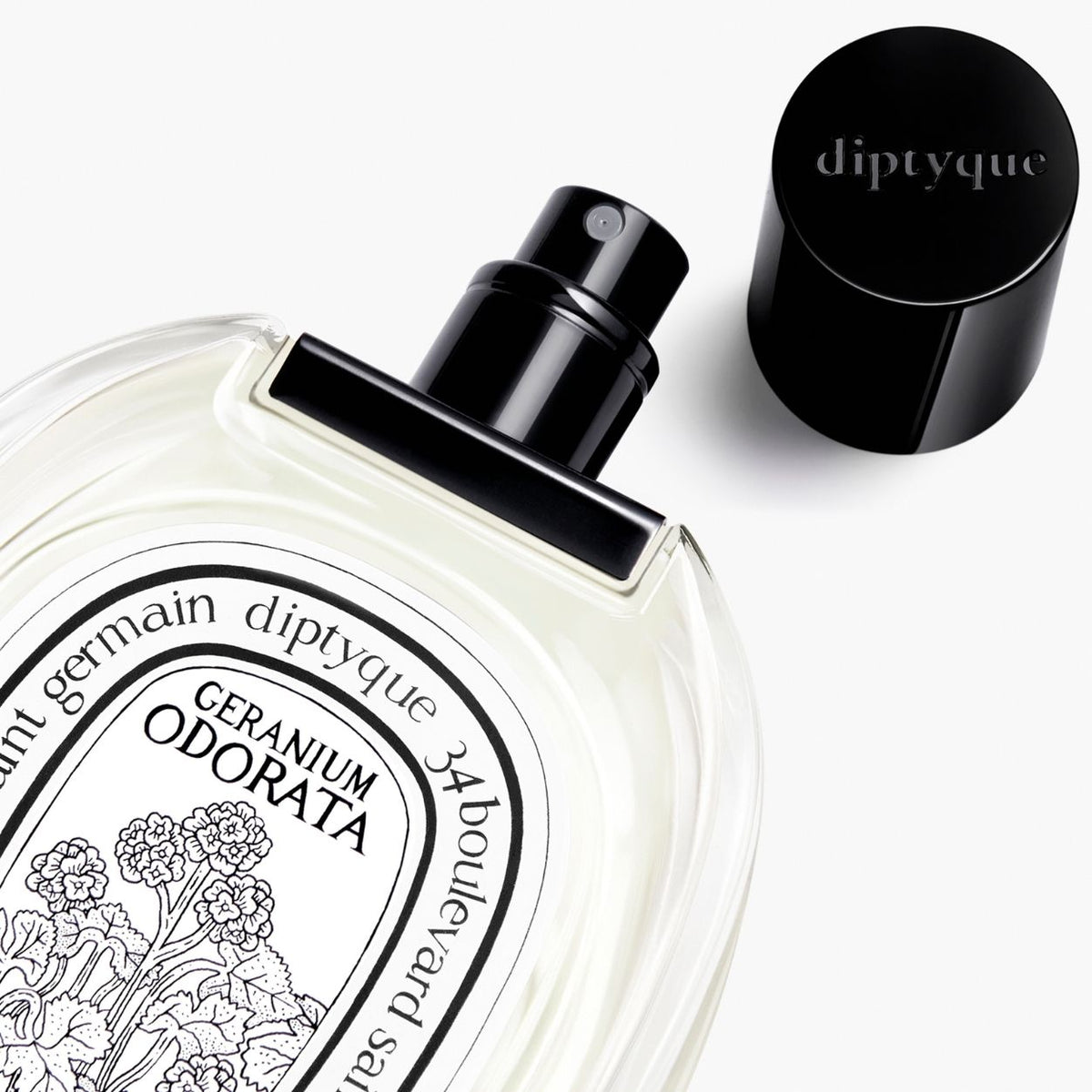 Diptyque Geranium Odorata Eau De Toilette