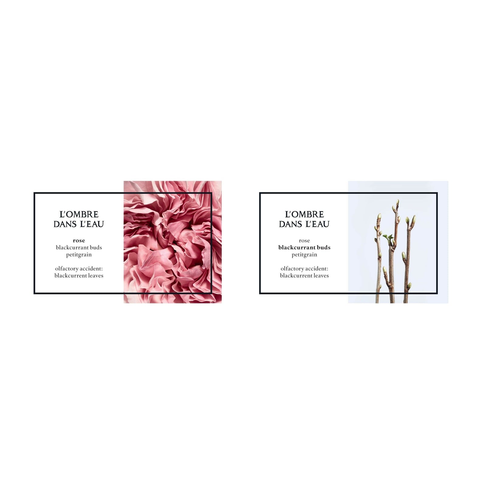 Diptyque L'Ombre dans L'Eau Eau de Toilette
