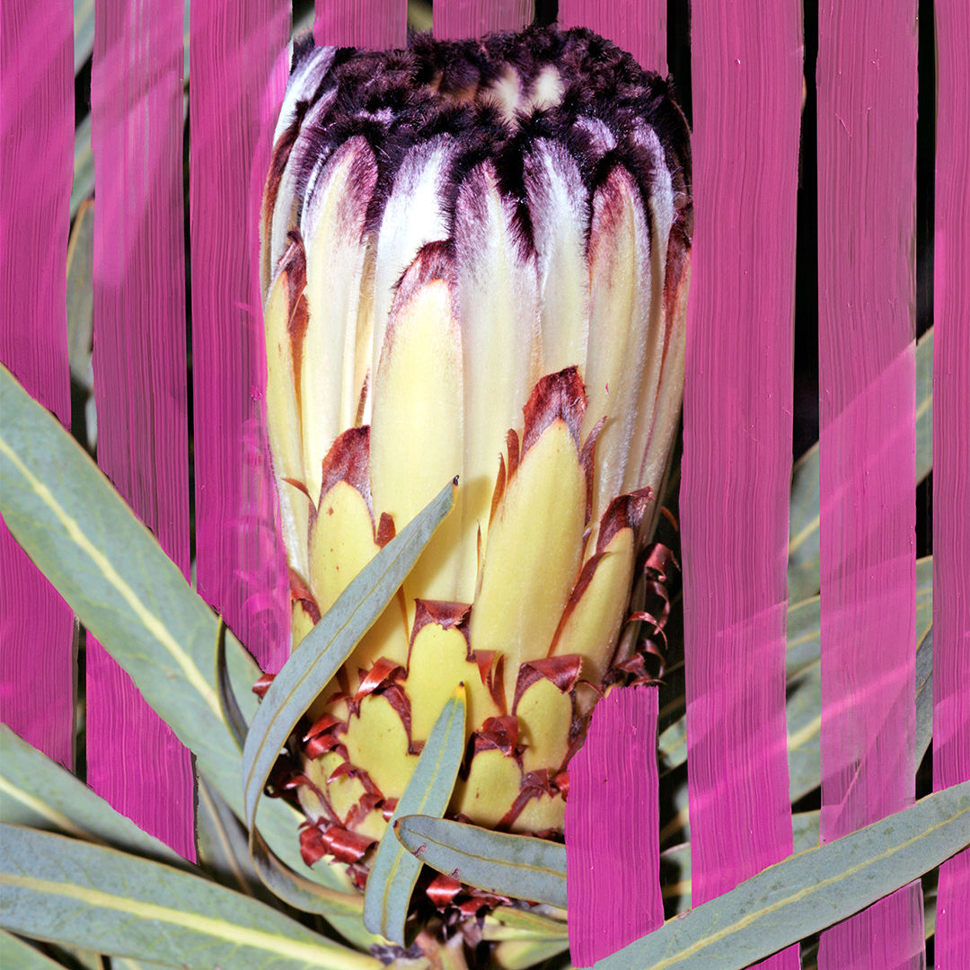 Byredo Inflorescence Eau de Parfum