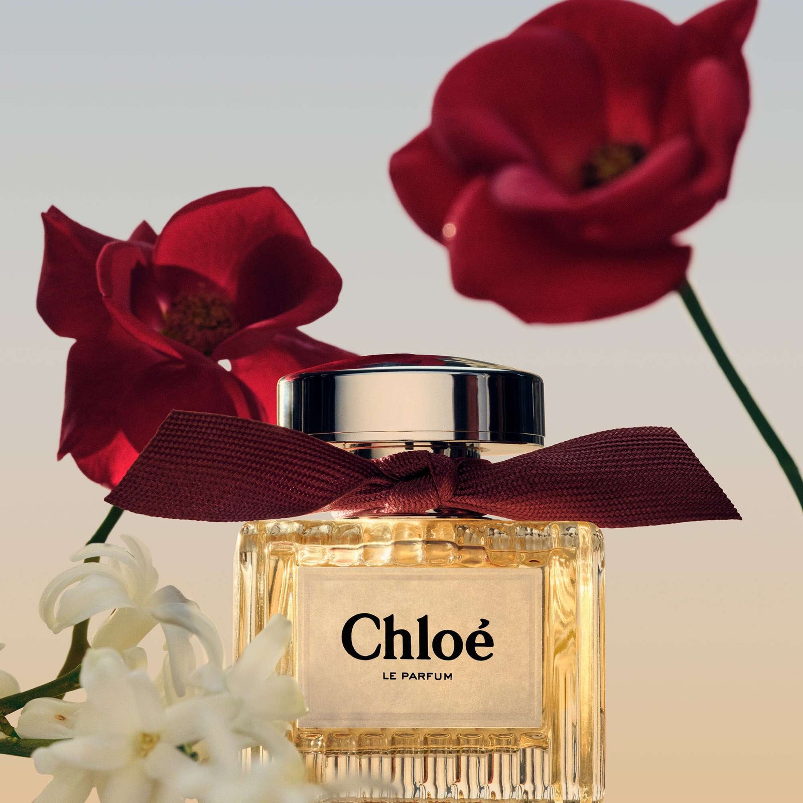 Chloé Signature Le Parfum Spray 50 ml