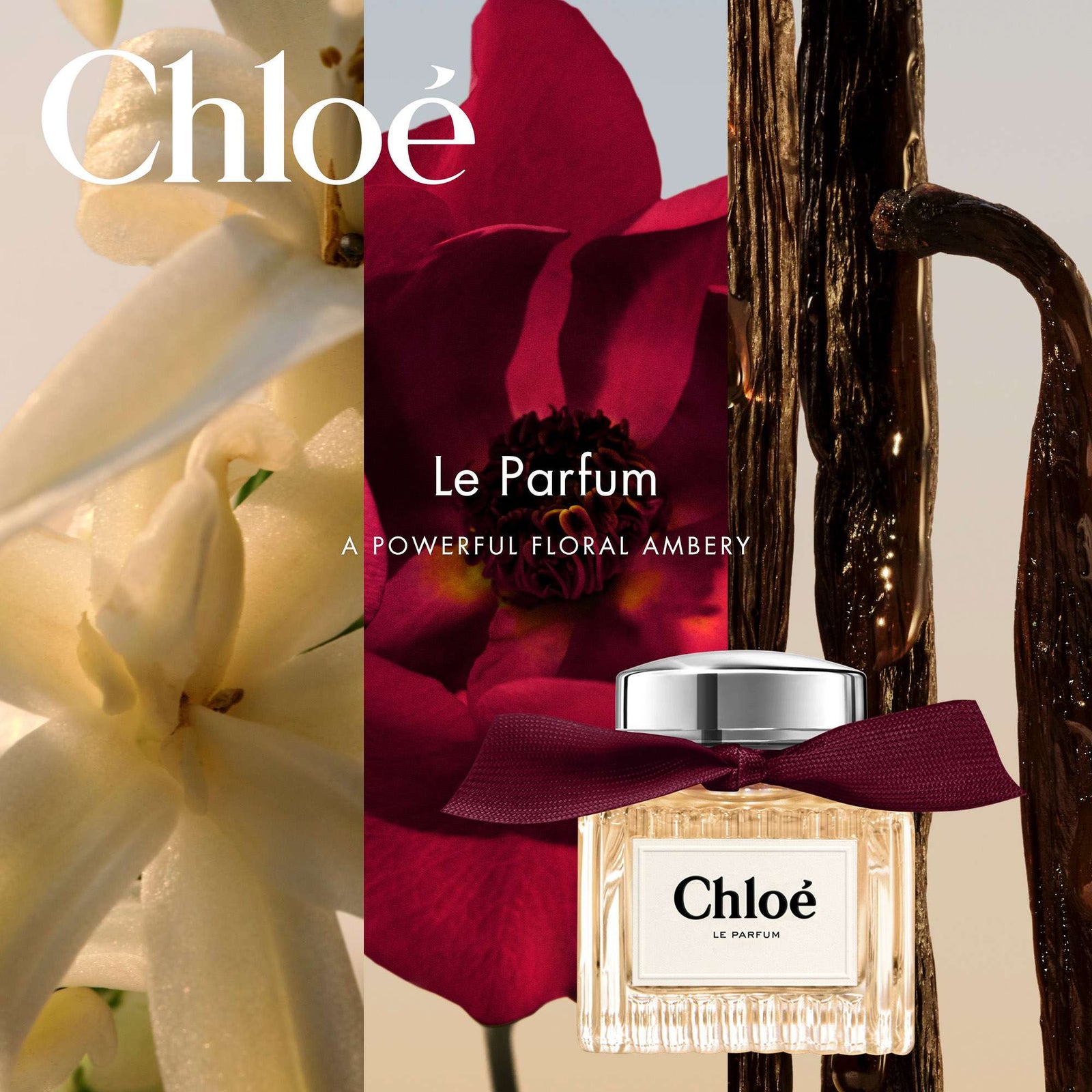 Chloé Signature Le Parfum Spray 100 ml