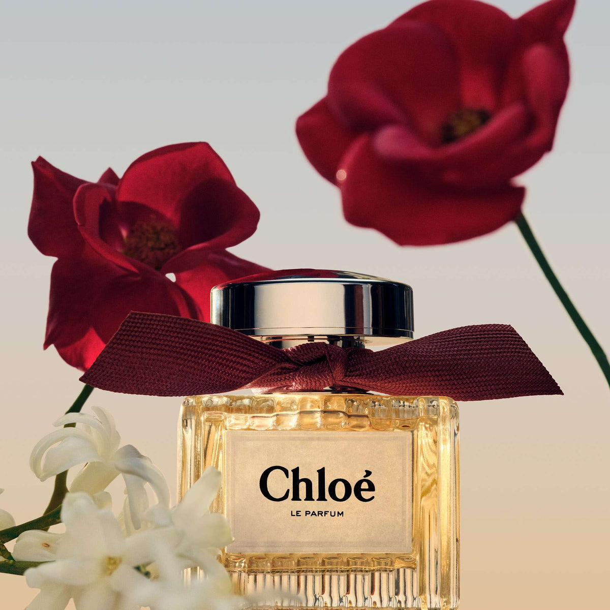 Chloé Signature Le Parfum Spray 100 ml