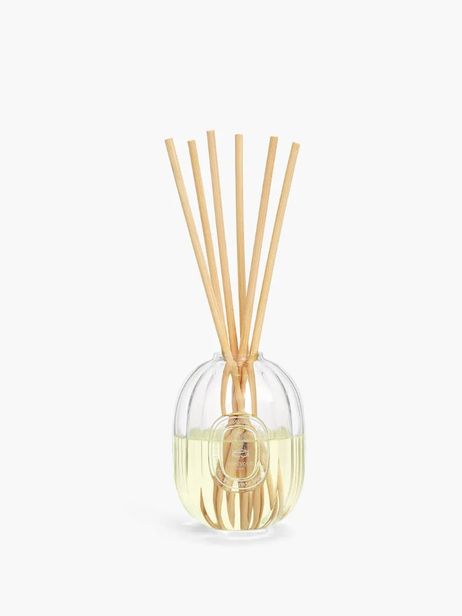 Diptyque Ambre - Recharge pour diffuseur de parfum d'intérieur​