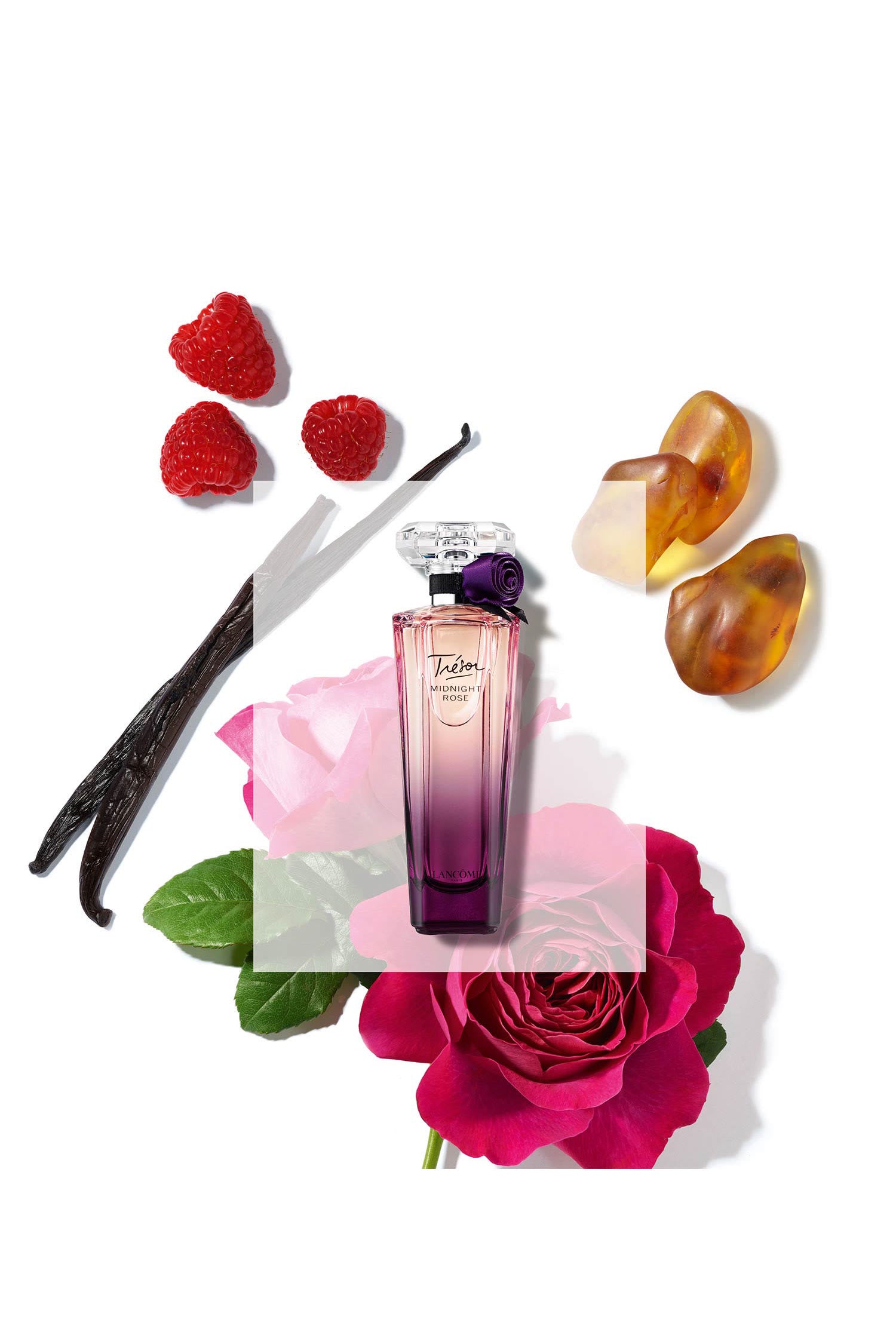 Lancome Trésor Midnight Rose Eau de Parfum