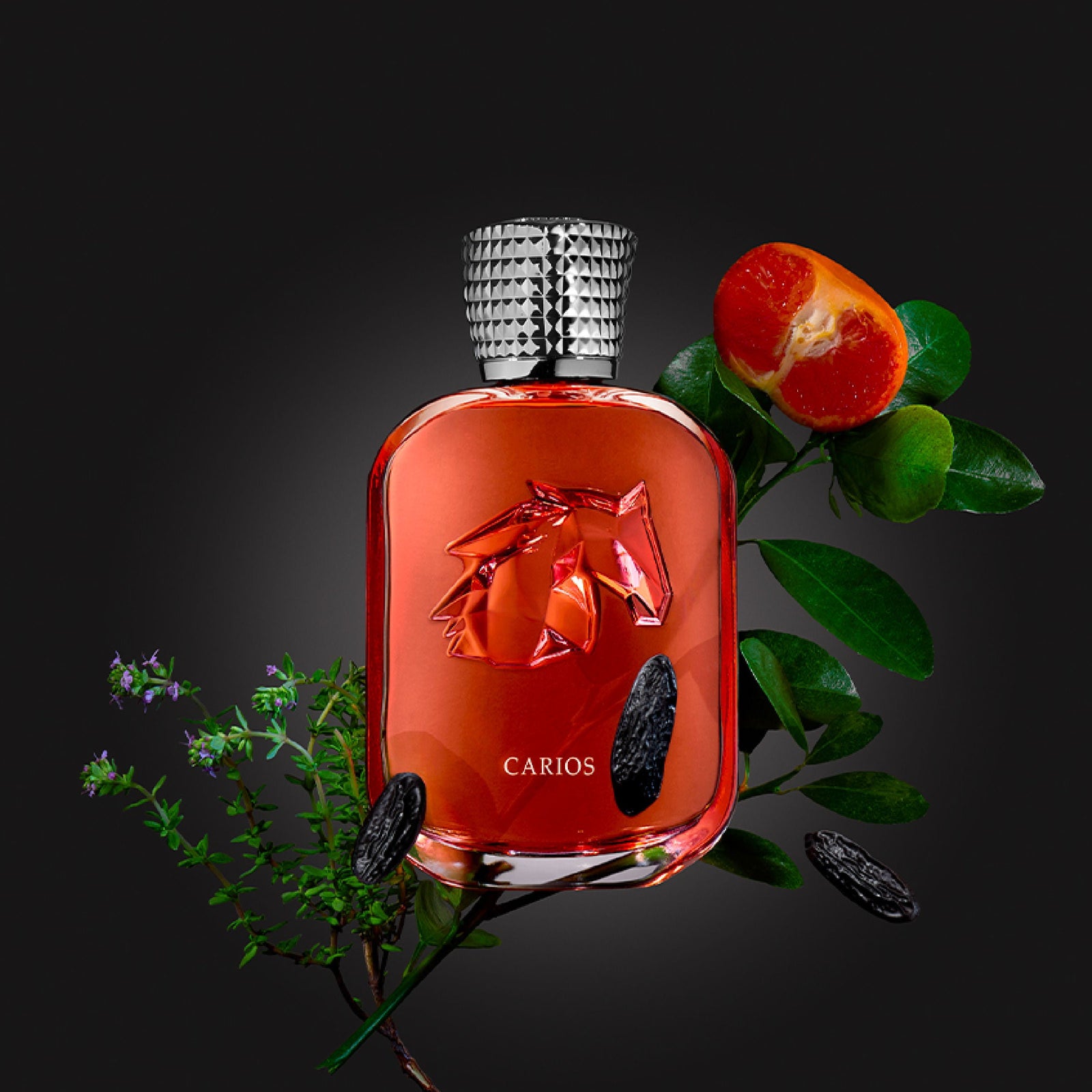 Parfums de Marly Carios Extrait de Parfum