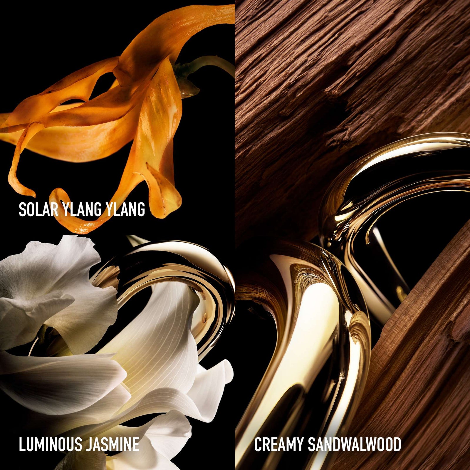 Rabanne Million Gold For Her Parfum Refillable 50 ml