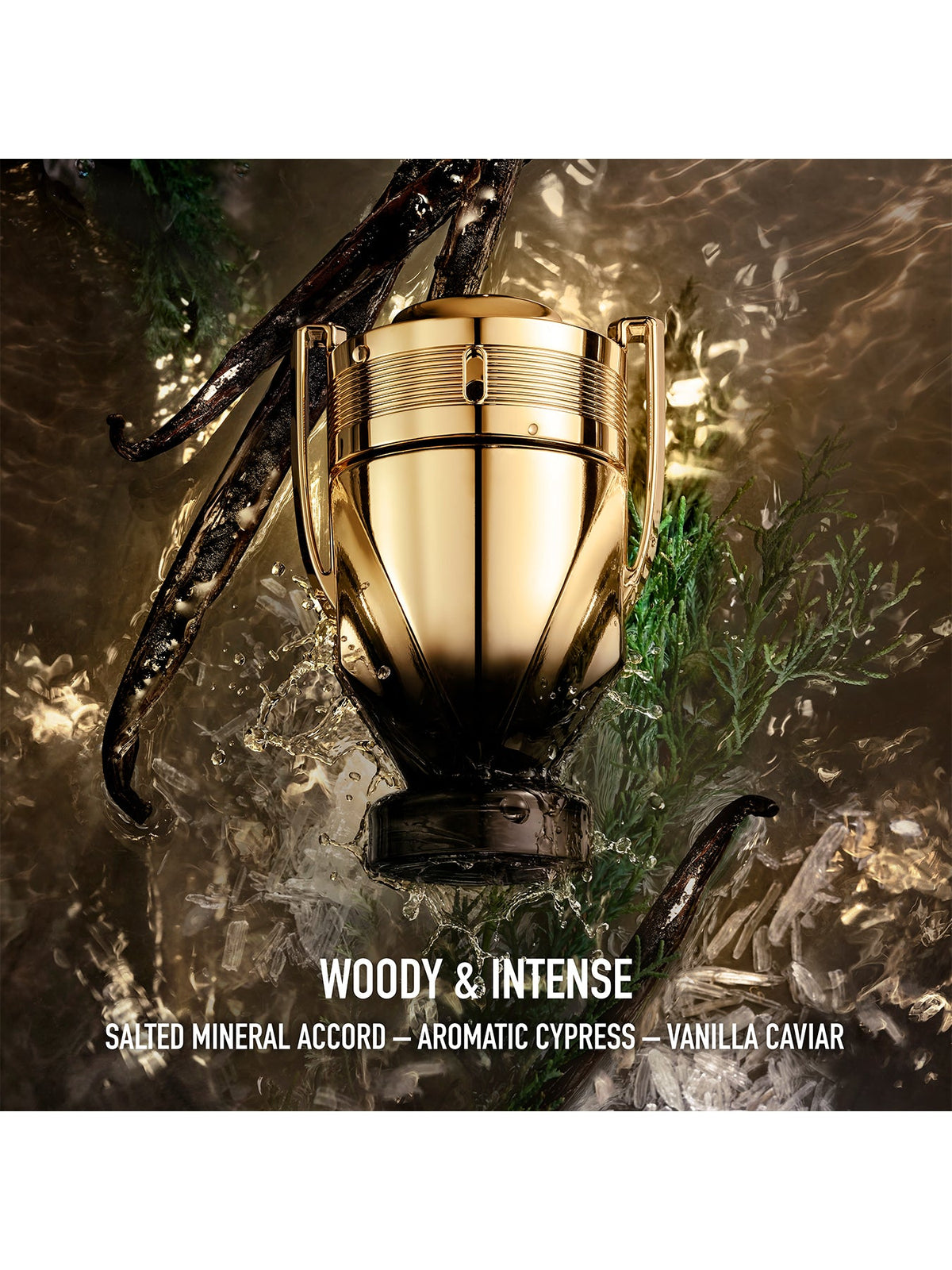 Rabanne Invictus Elixir Parfum Intense 100 ml
