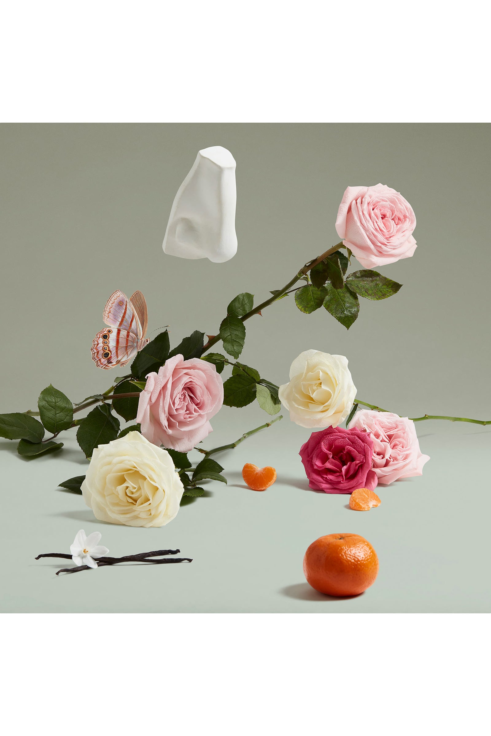 Penhaligons Duchess Rose Eau de Parfum
