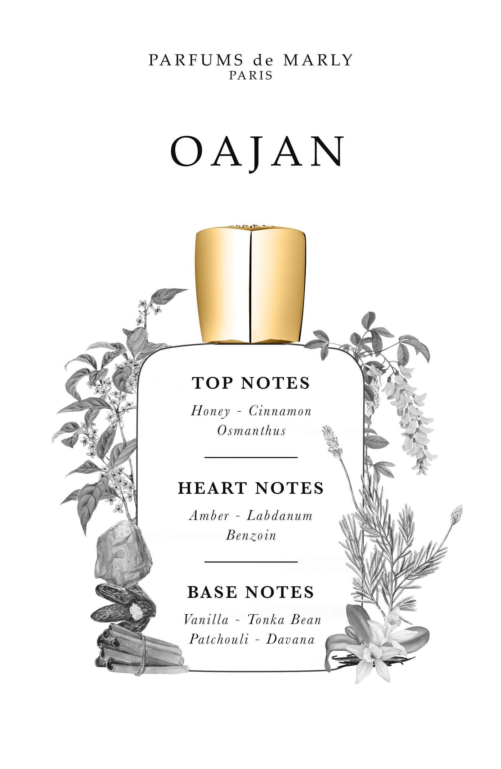 Parfums de MARLY Oajan by Parfums de Marly