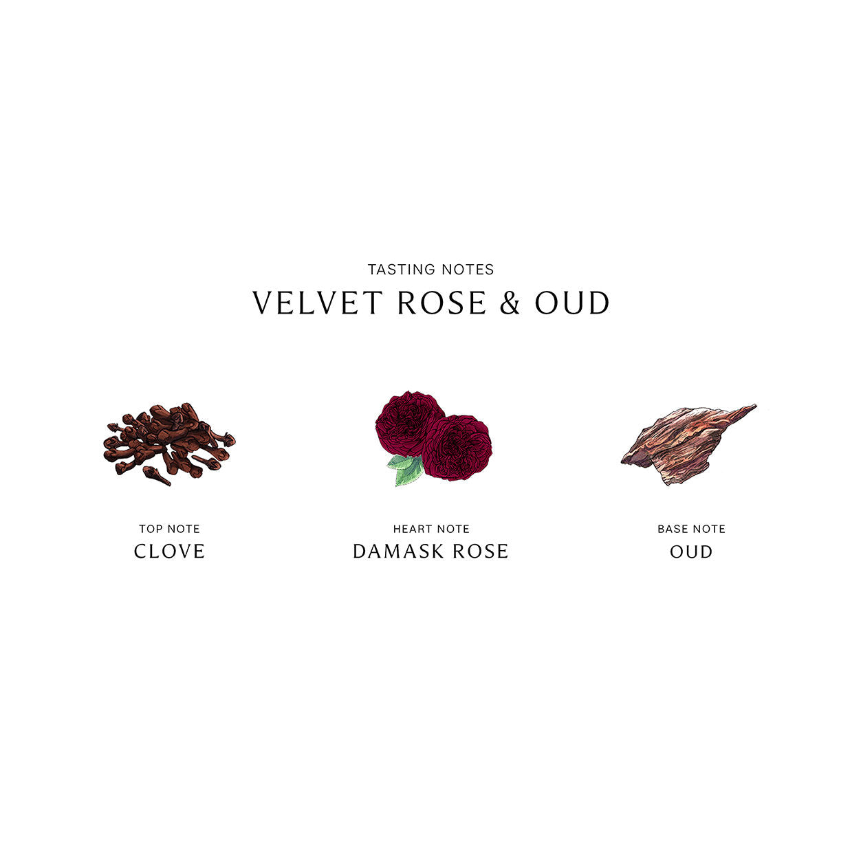 Jo Malone London Velvet Rose and Oud Cologne Intense