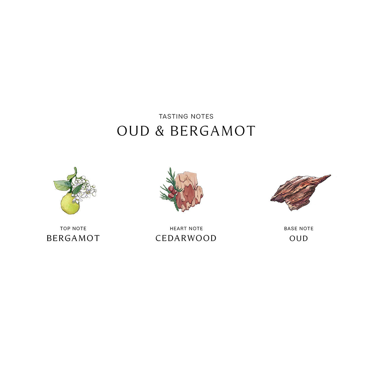 Jo Malone London Oud and Bergamot Cologne Intense