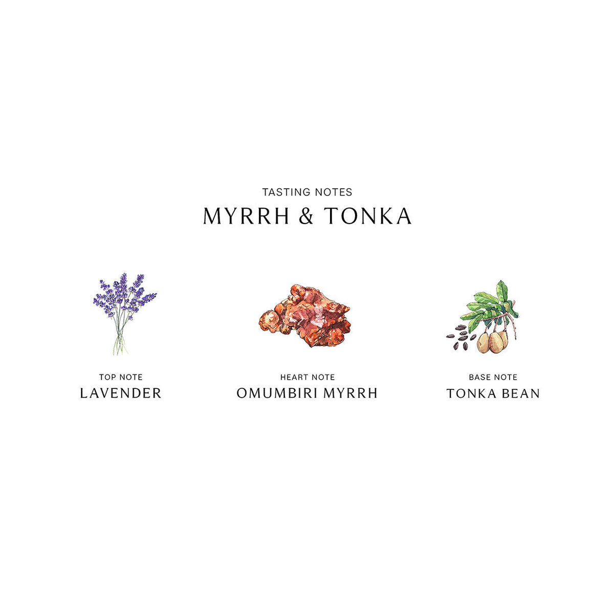 Jo Malone London Myrrh and Tonka Cologne Intense