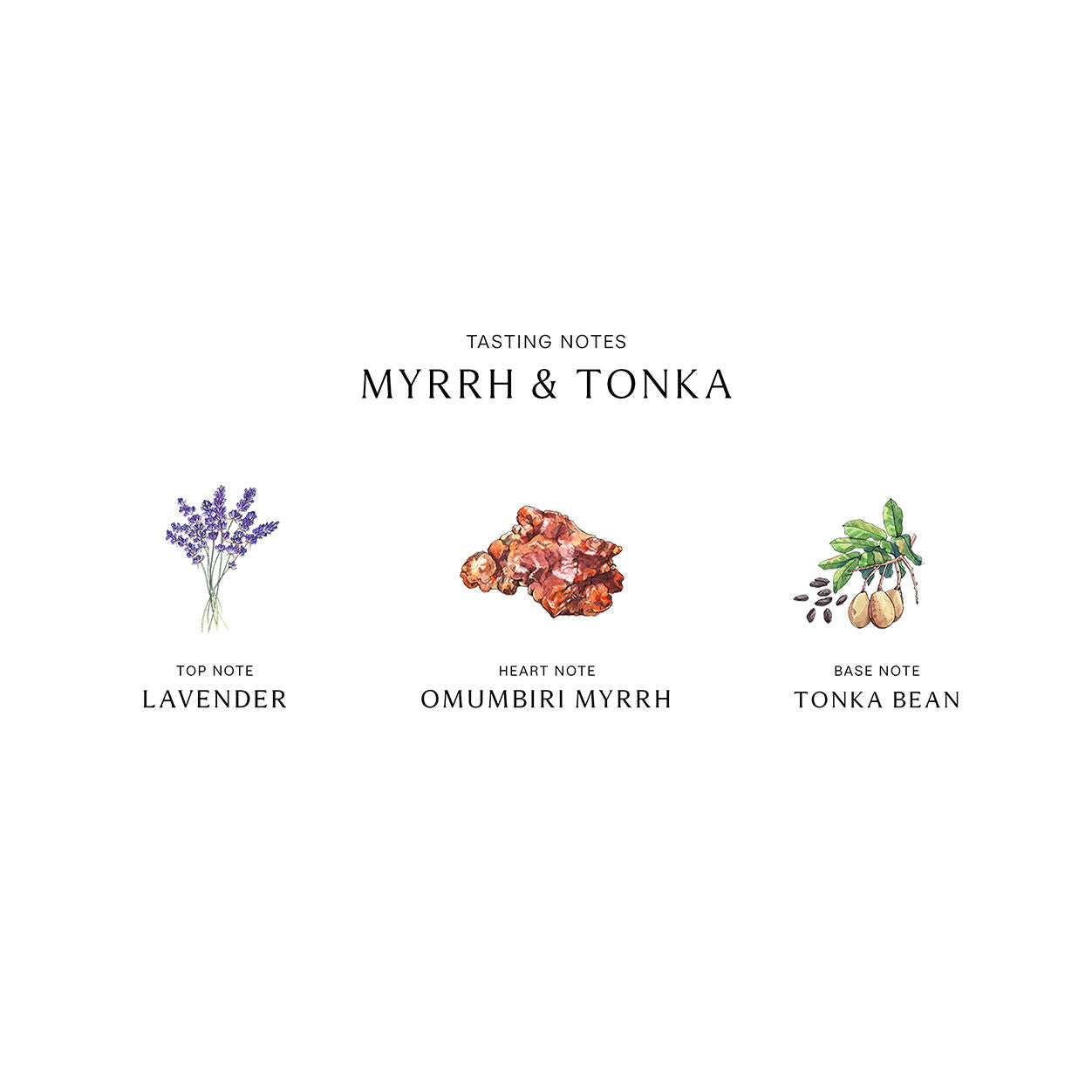 Jo Malone London Myrrh and Tonka Cologne Intense