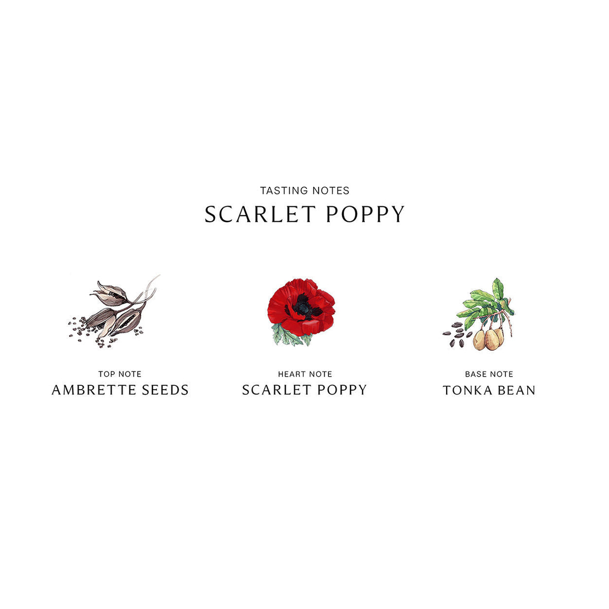 Jo Malone London Scarlet Poppy Cologne Intense