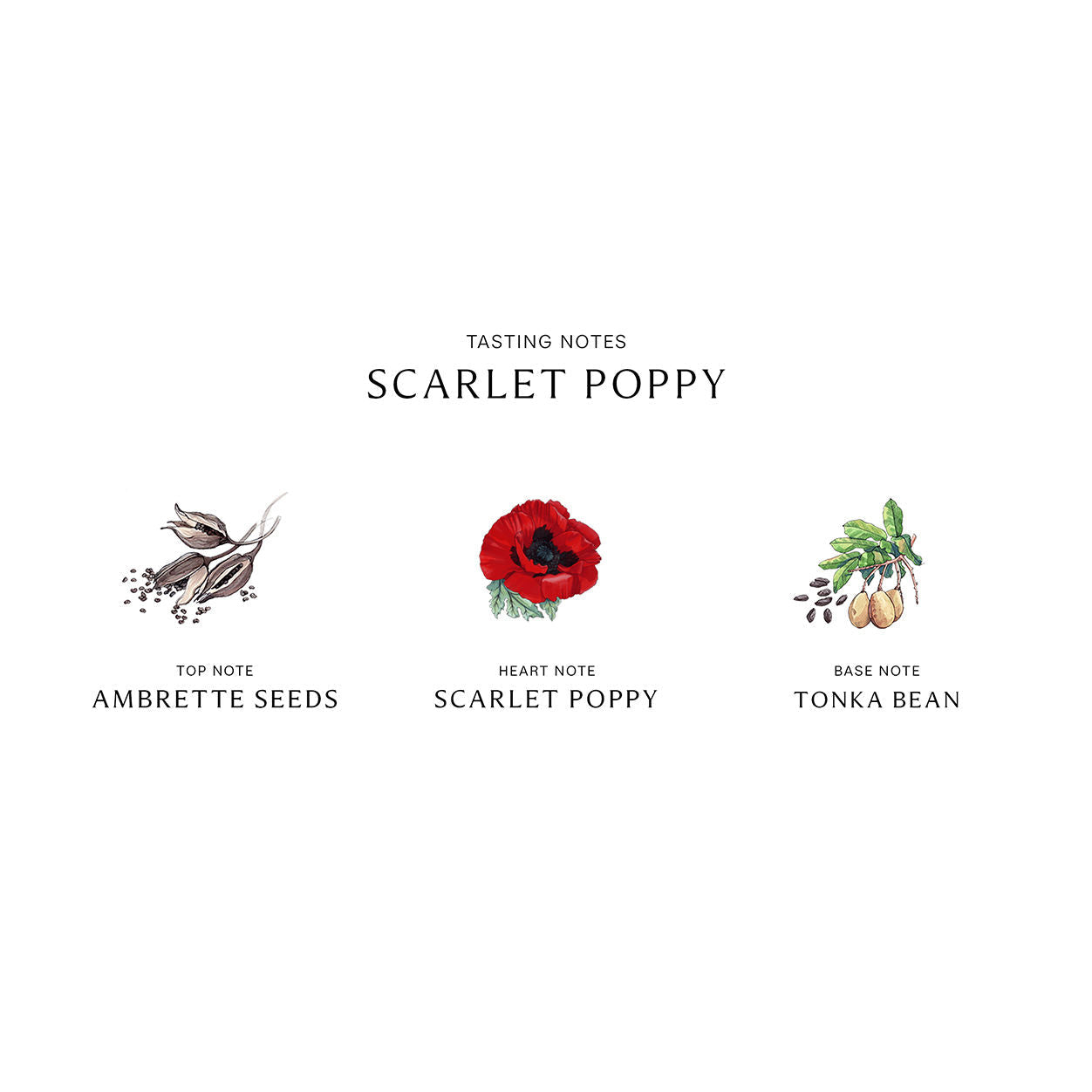 Jo Malone London Scarlet Poppy Cologne Intense