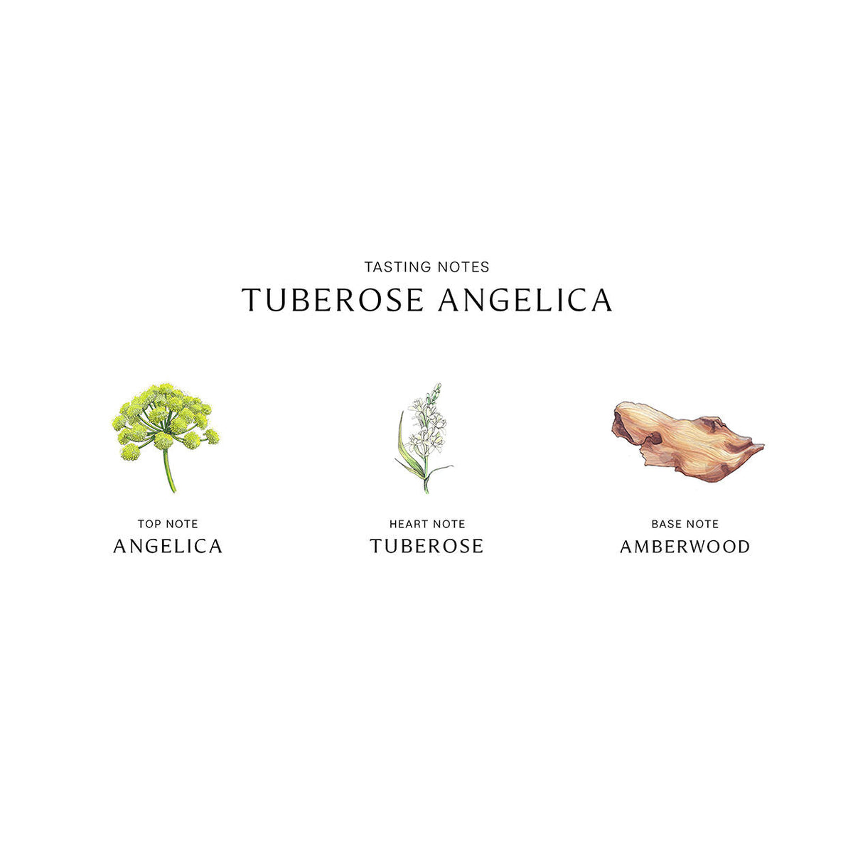 Jo Malone London Tuberose Angelica Cologne Intense
