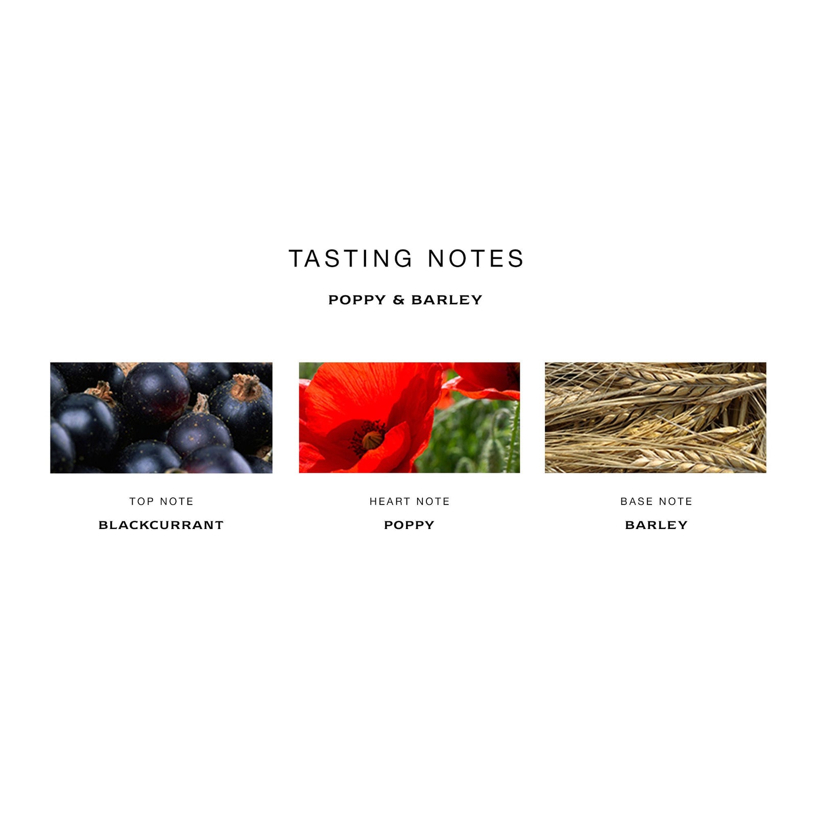 Jo Malone London Poppy and Barley Cologne
