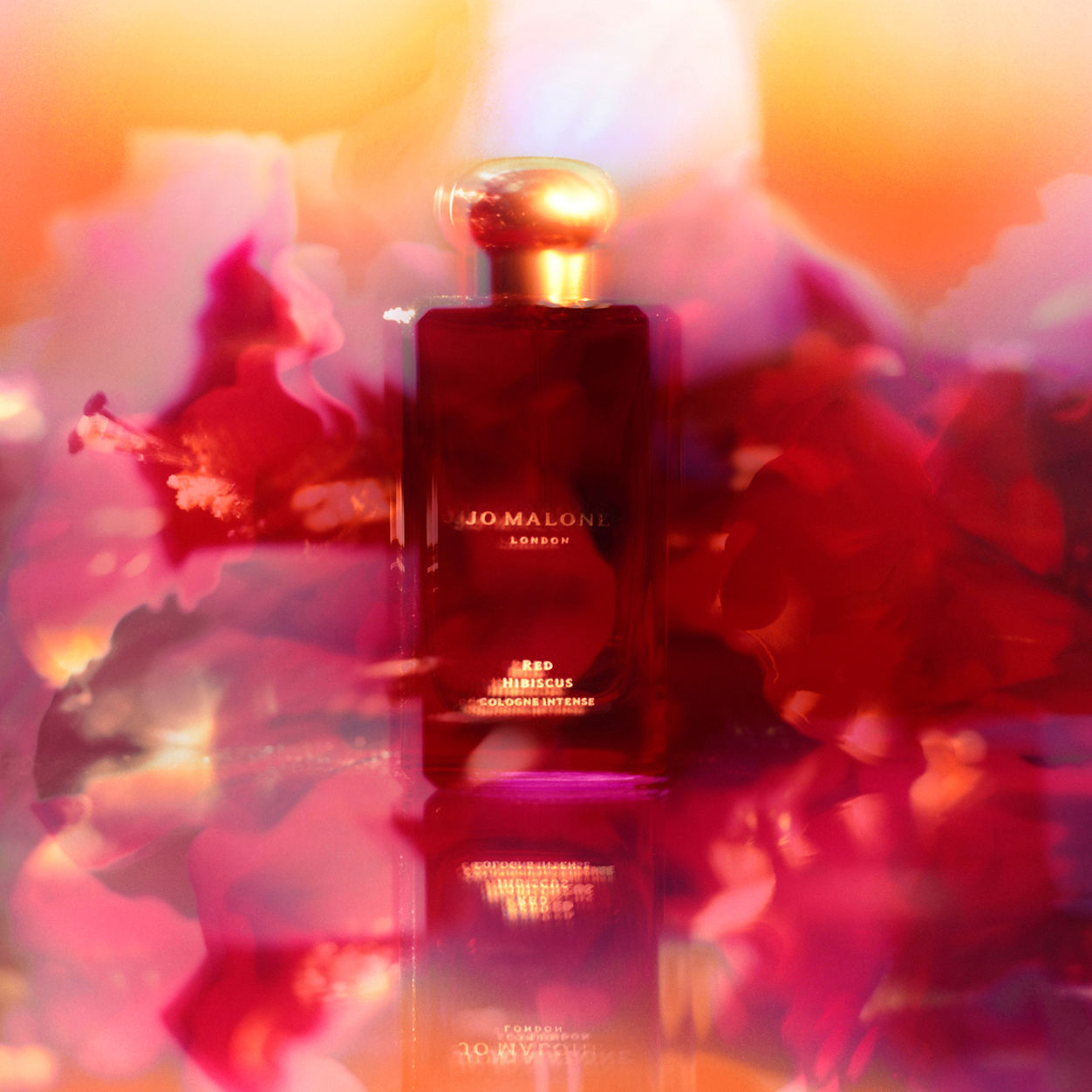 Jo Malone London Red Hibiscus Cologne Intense