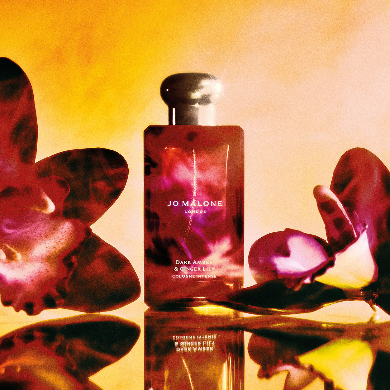 Jo Malone London Dark Amber and Ginger Lily Cologne Intense