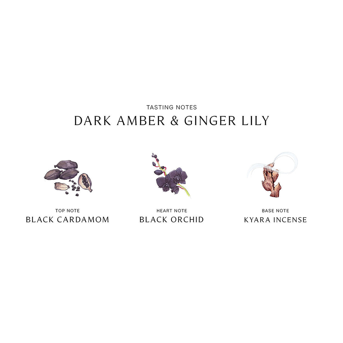 Jo Malone London Dark Amber and Ginger Lily Cologne Intense