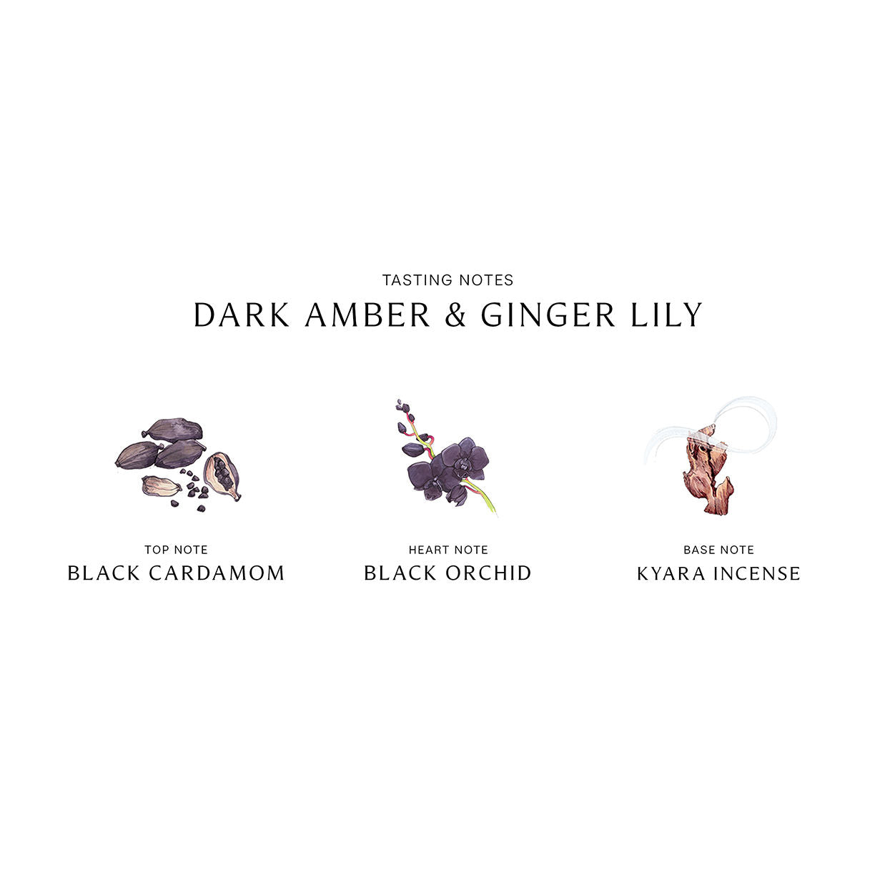 Jo Malone London Dark Amber and Ginger Lily Cologne Intense