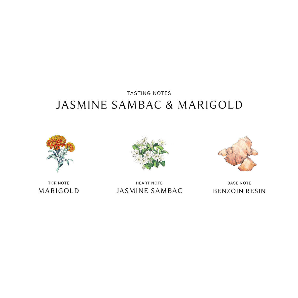 Jo Malone London Jasmine Sambac and Marigold Cologne Intense