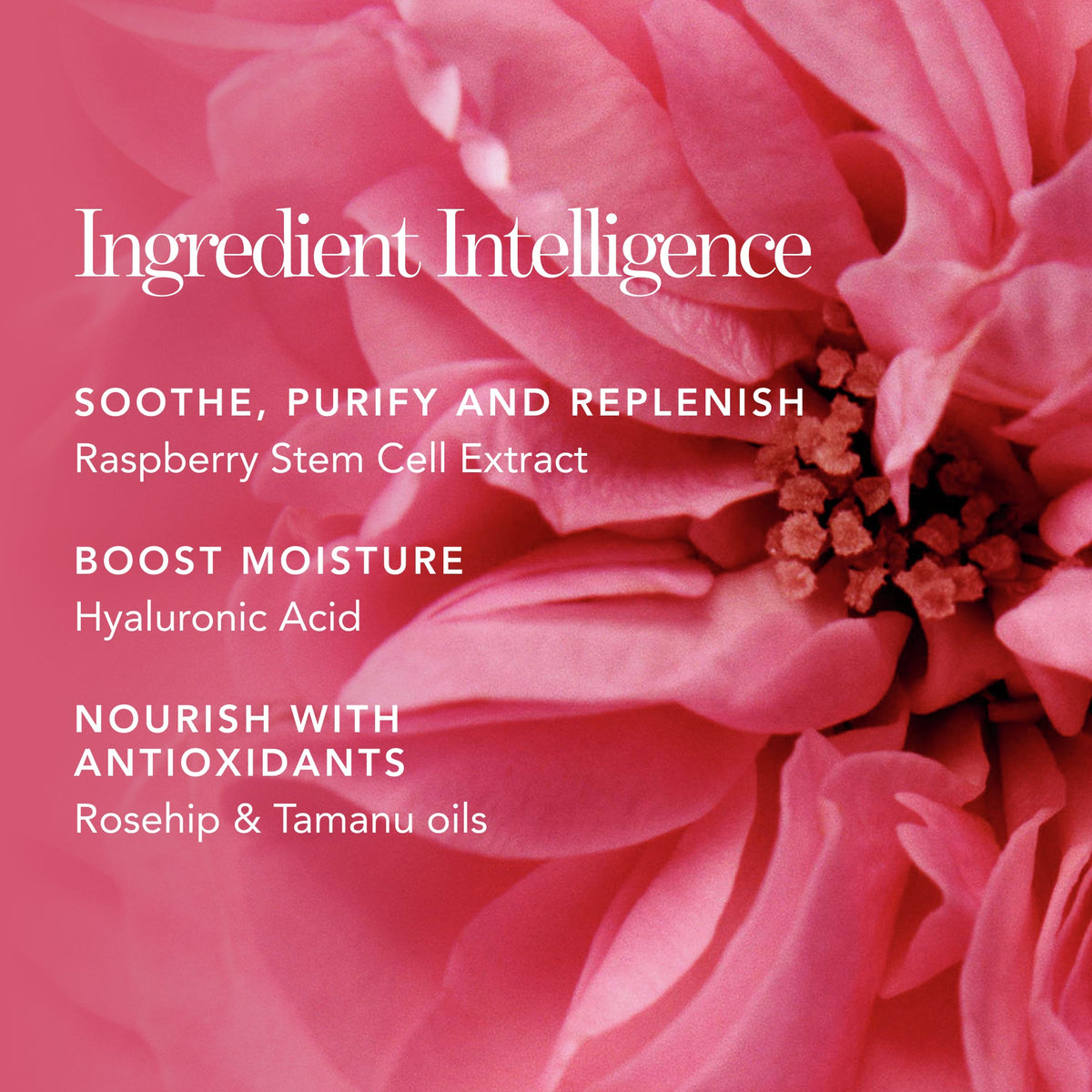 Chantecaille *Rose de Mai Cleansing Balm