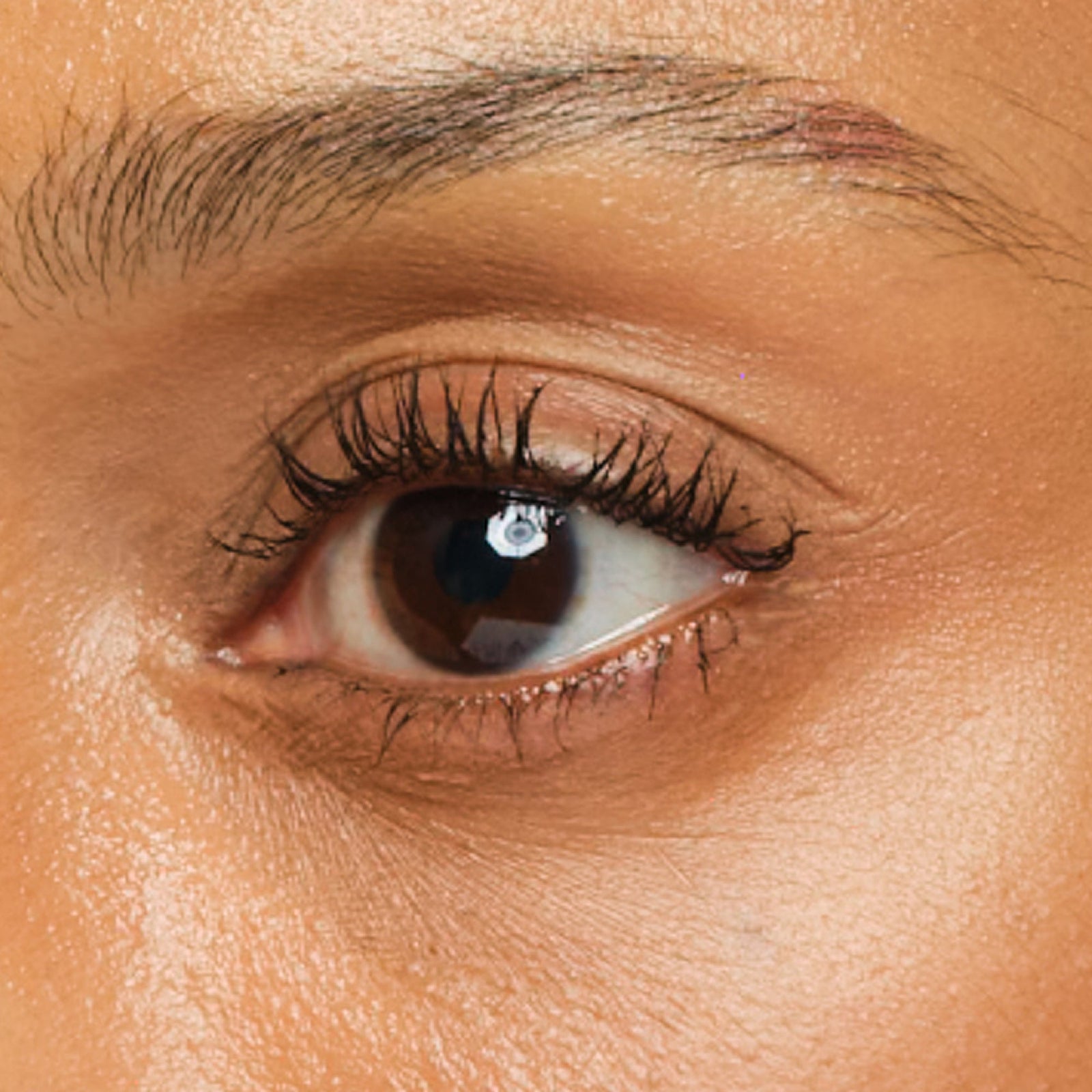 Chantecaille Faux Cils Longest Lash Mascara
