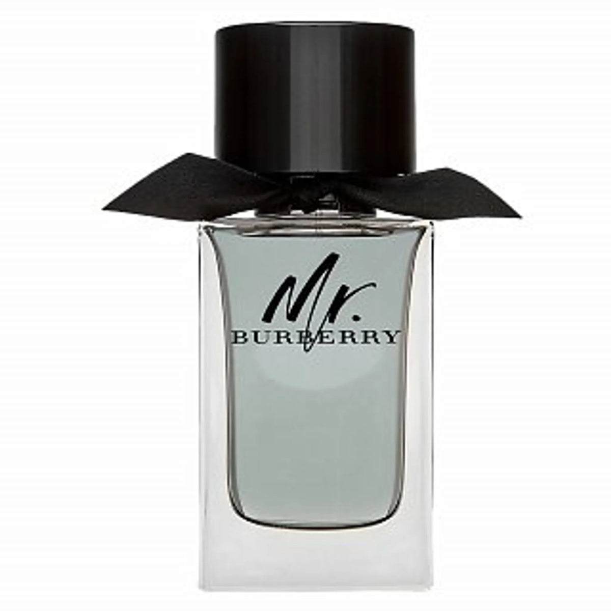 Burberry Mr Burberry for Men EDT 100ml