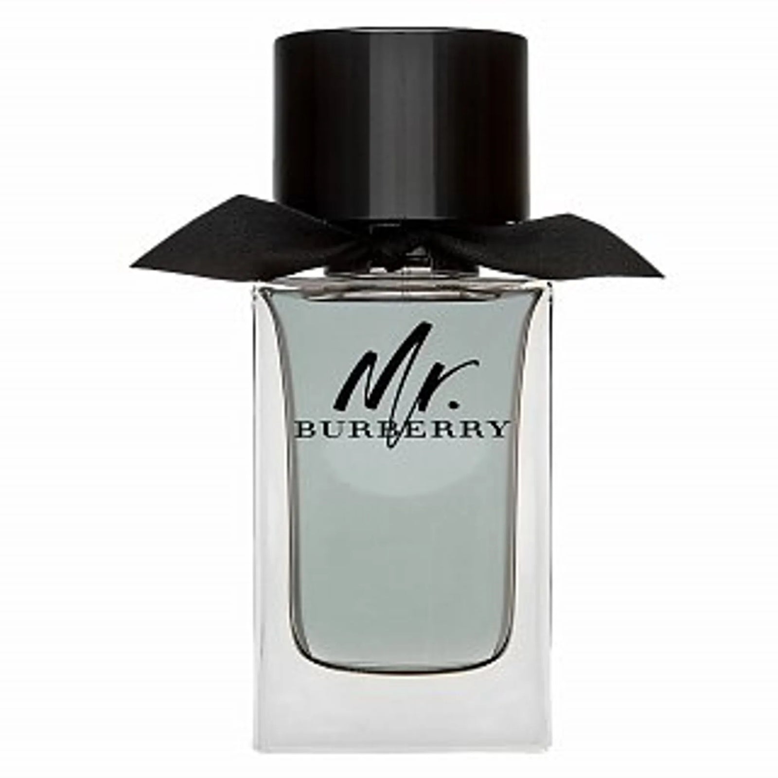 Burberry Mr Burberry for Men EDT 100ml