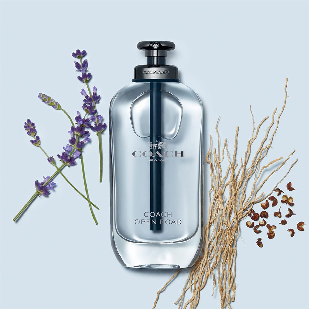 Coach Open Road for Men EDT 100ml