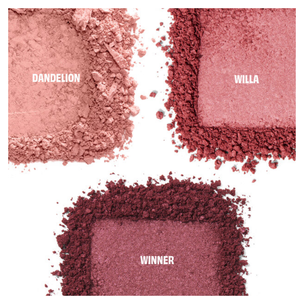 Cheek Palette (Holiday Limited Edition)