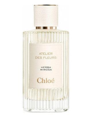 Chloe Herba Mimosa