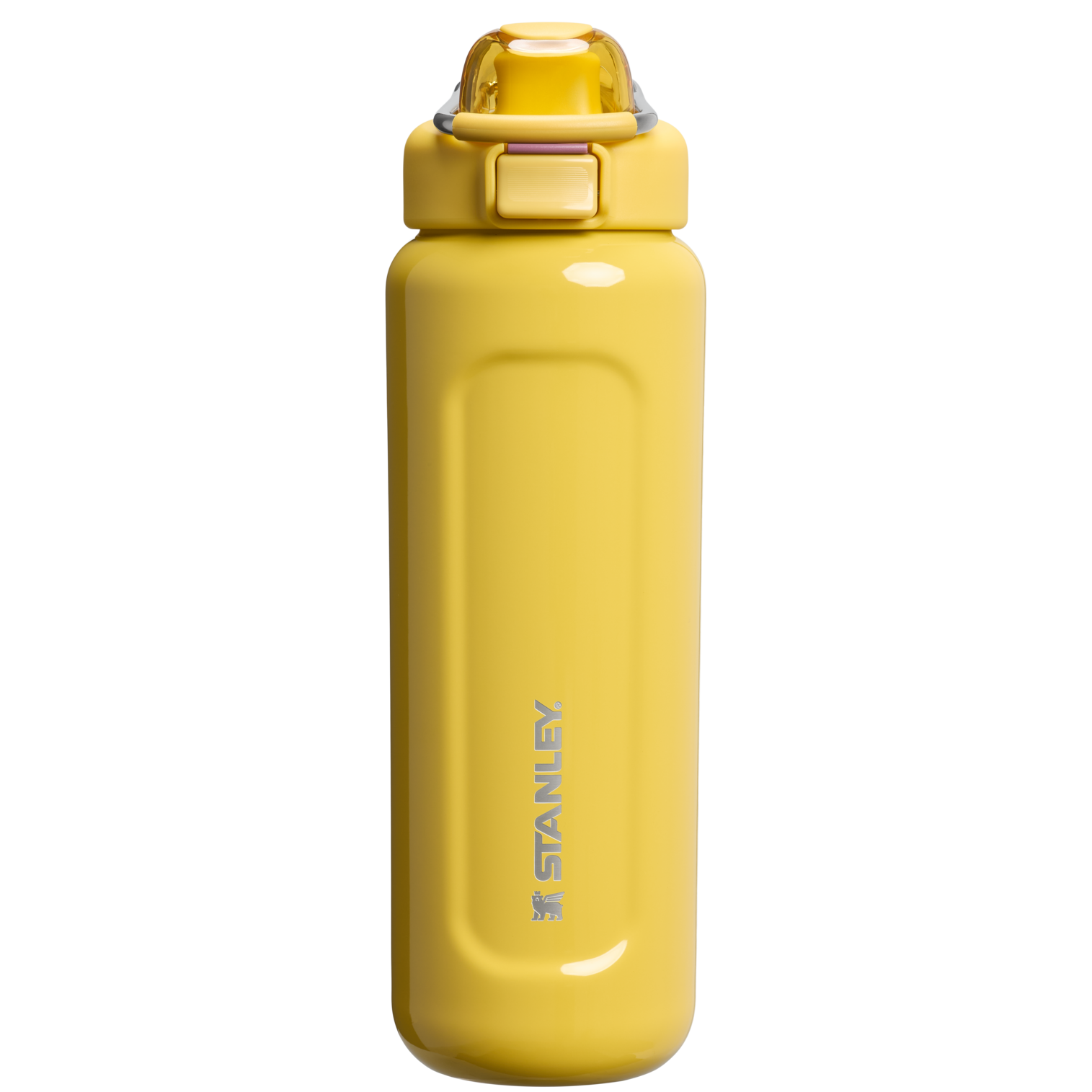 The Wellspring Bottle | 24 OZ Dijon Gloss