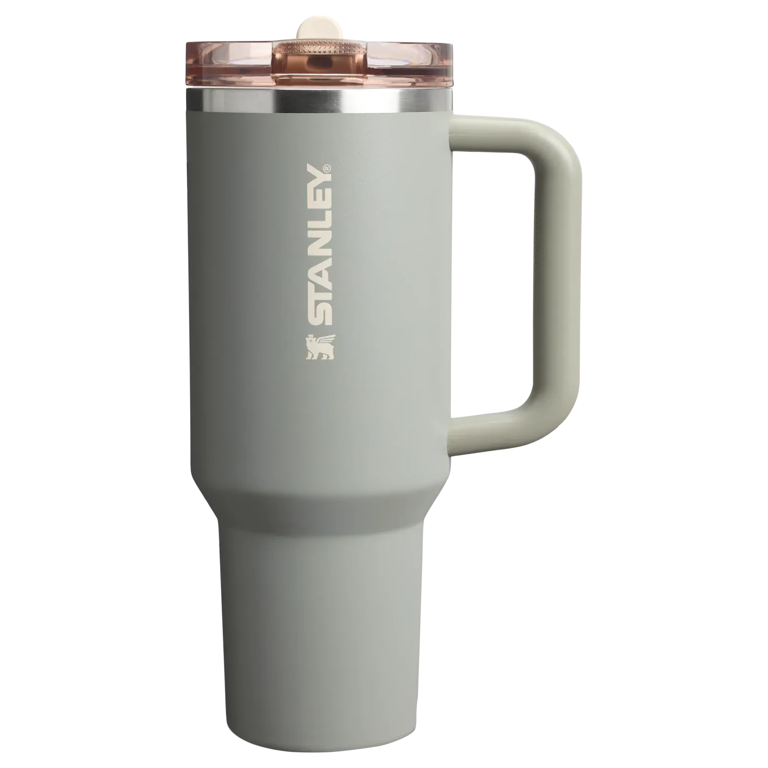 Stanley The Quencher ProTour Flip Straw Tumbler Sage Grey