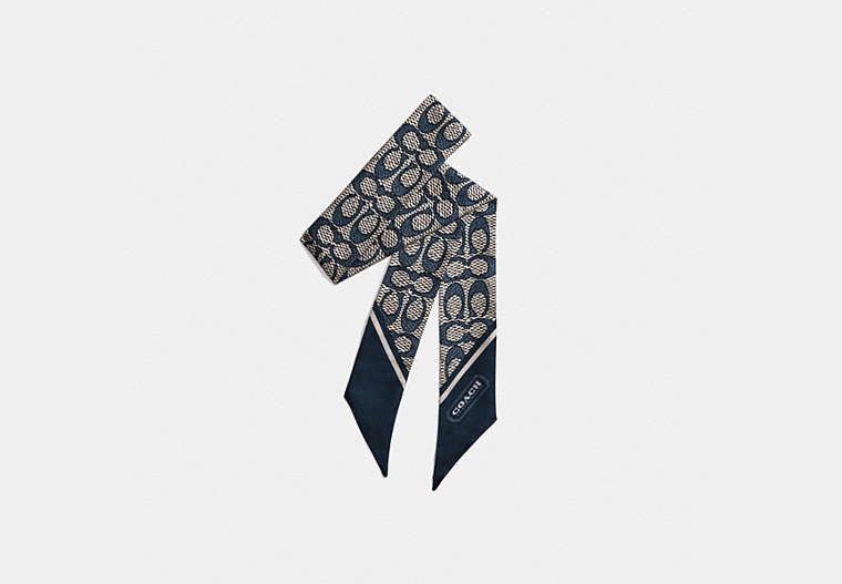 Textured Signature Print Silk Skinny Scarf