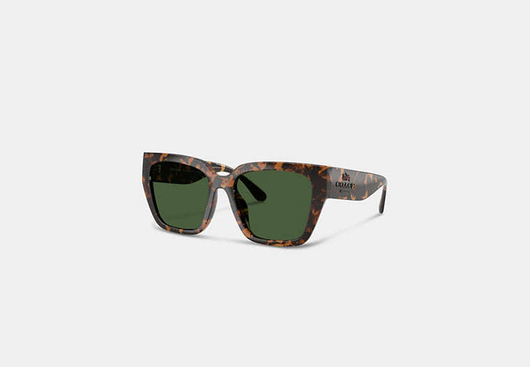 Oversized Cat Eye Sunglasses