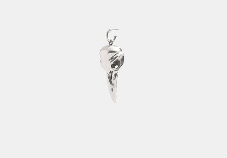 Bird Skull Single Earring
