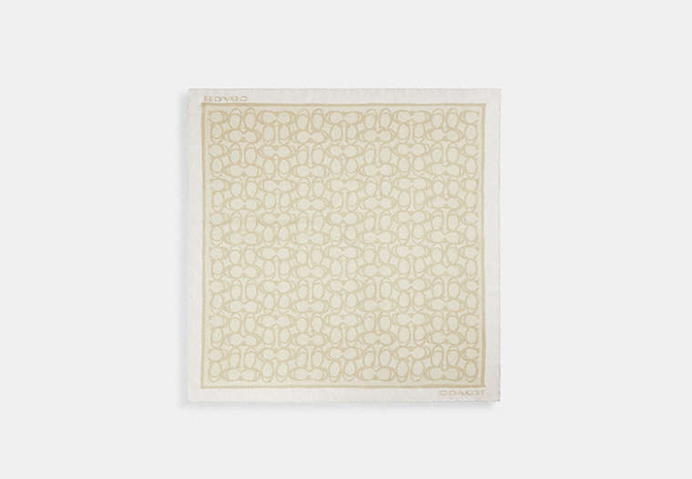 Jumbo Signature Silk Square Scarf