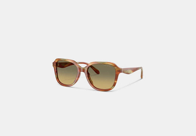 Oval Square Sunglasses