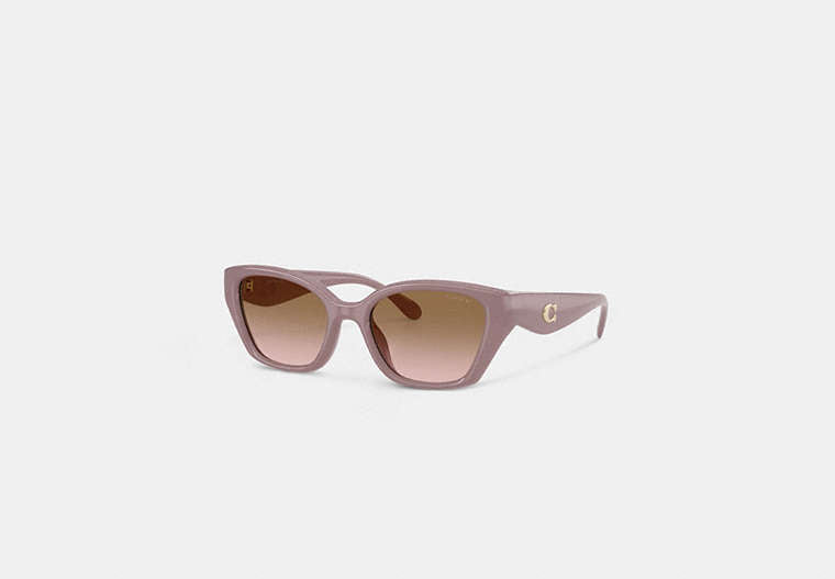 C Hardware Square Cat Eye Sunglasses