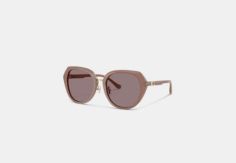 Maxi Sculpted C Oversized Round Sunglasses